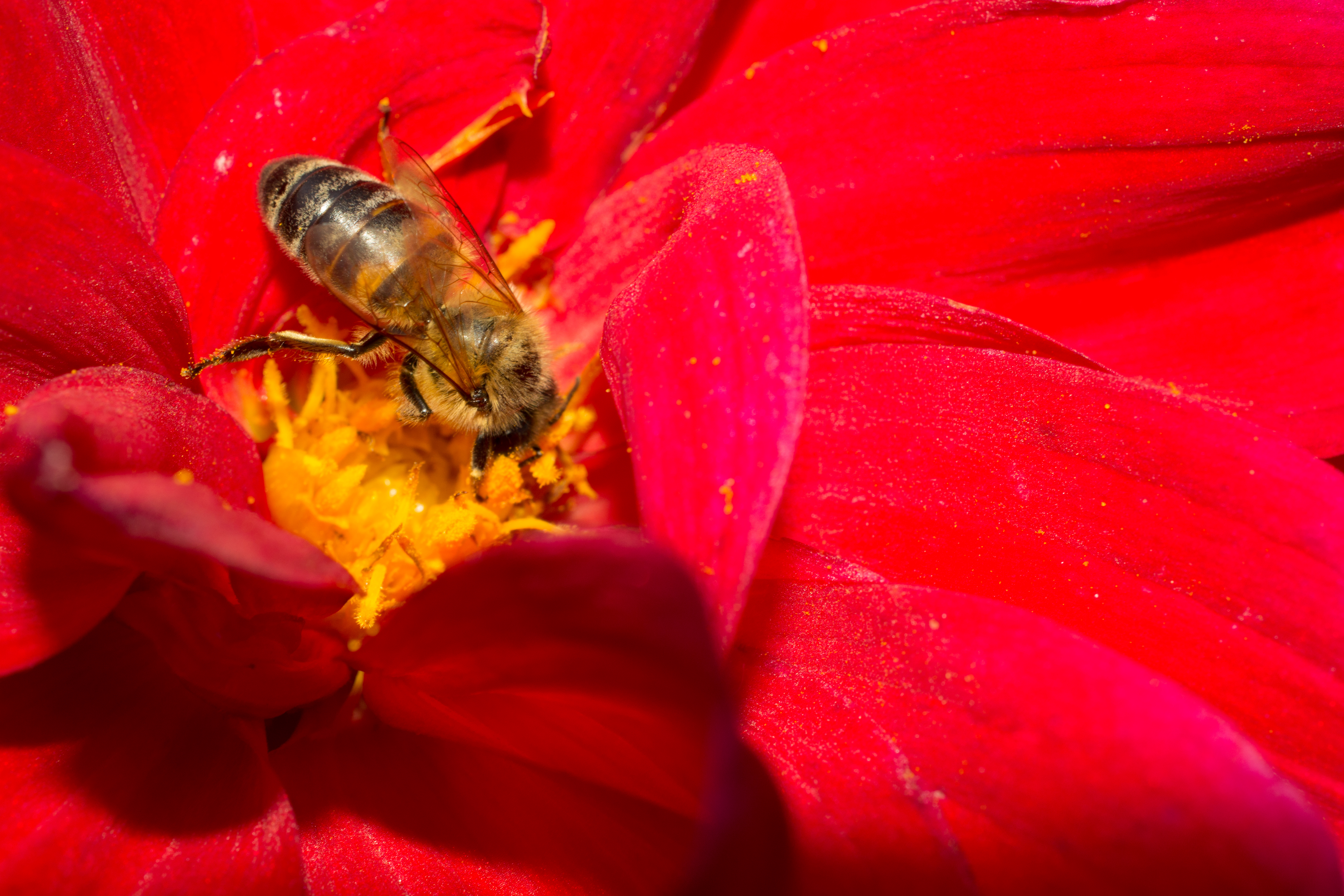 DSC_0312.jpg