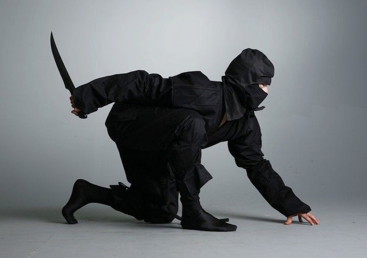 Female Ninja Stock Illustrations – 1,363 Female Ninja Stock Illustrations,  Vectors & Clipart - Dreamstime