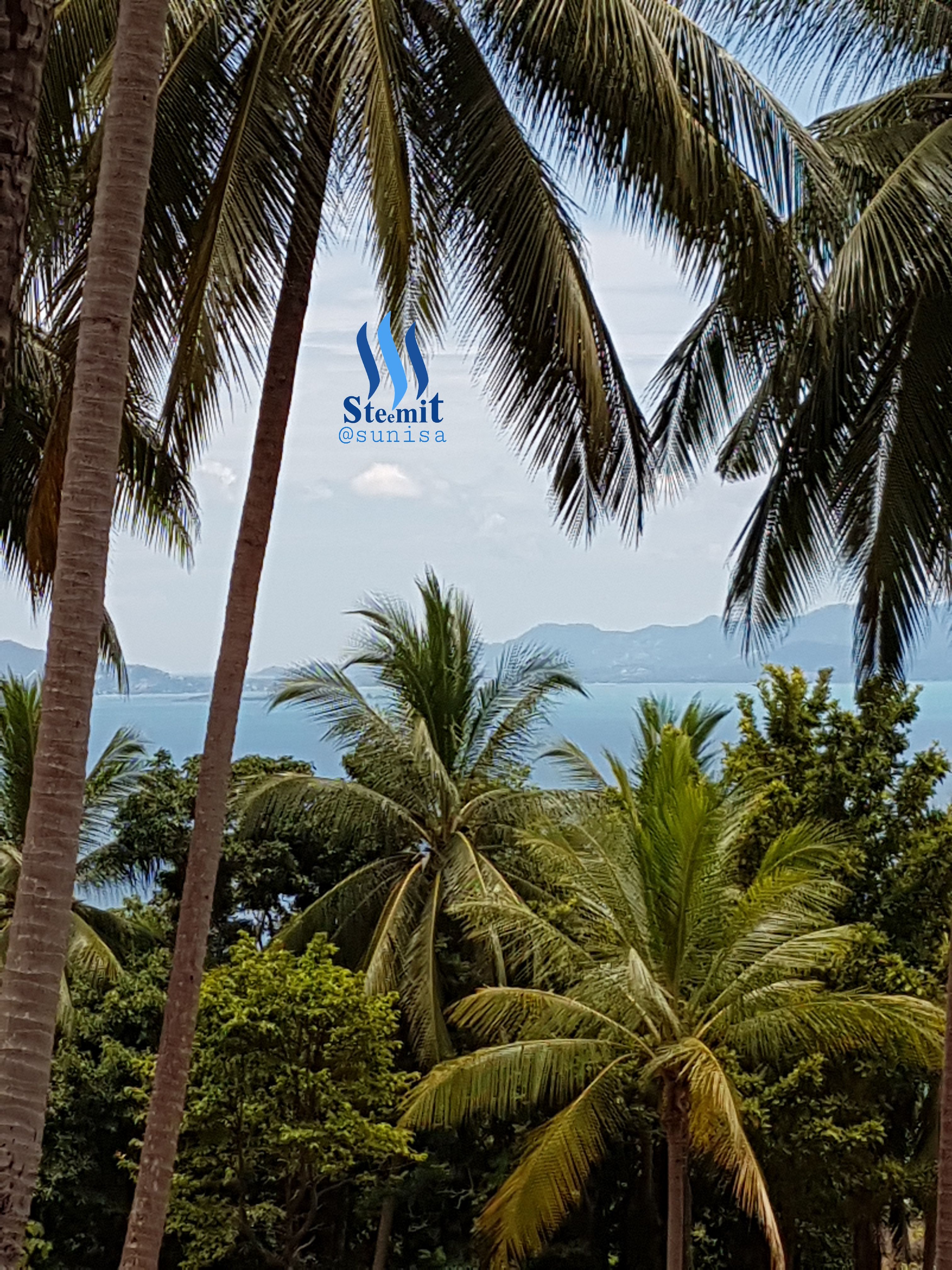 20170913_124850.jpg