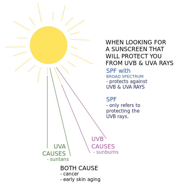Sunburn vs. Tan The role of melanocytes during sun exposure — Steemit