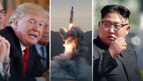 Image result for tramp kim