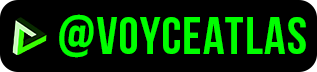 voyce flyer logo.png
