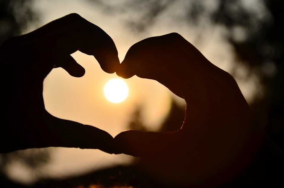 heart-583895_960_720.jpg