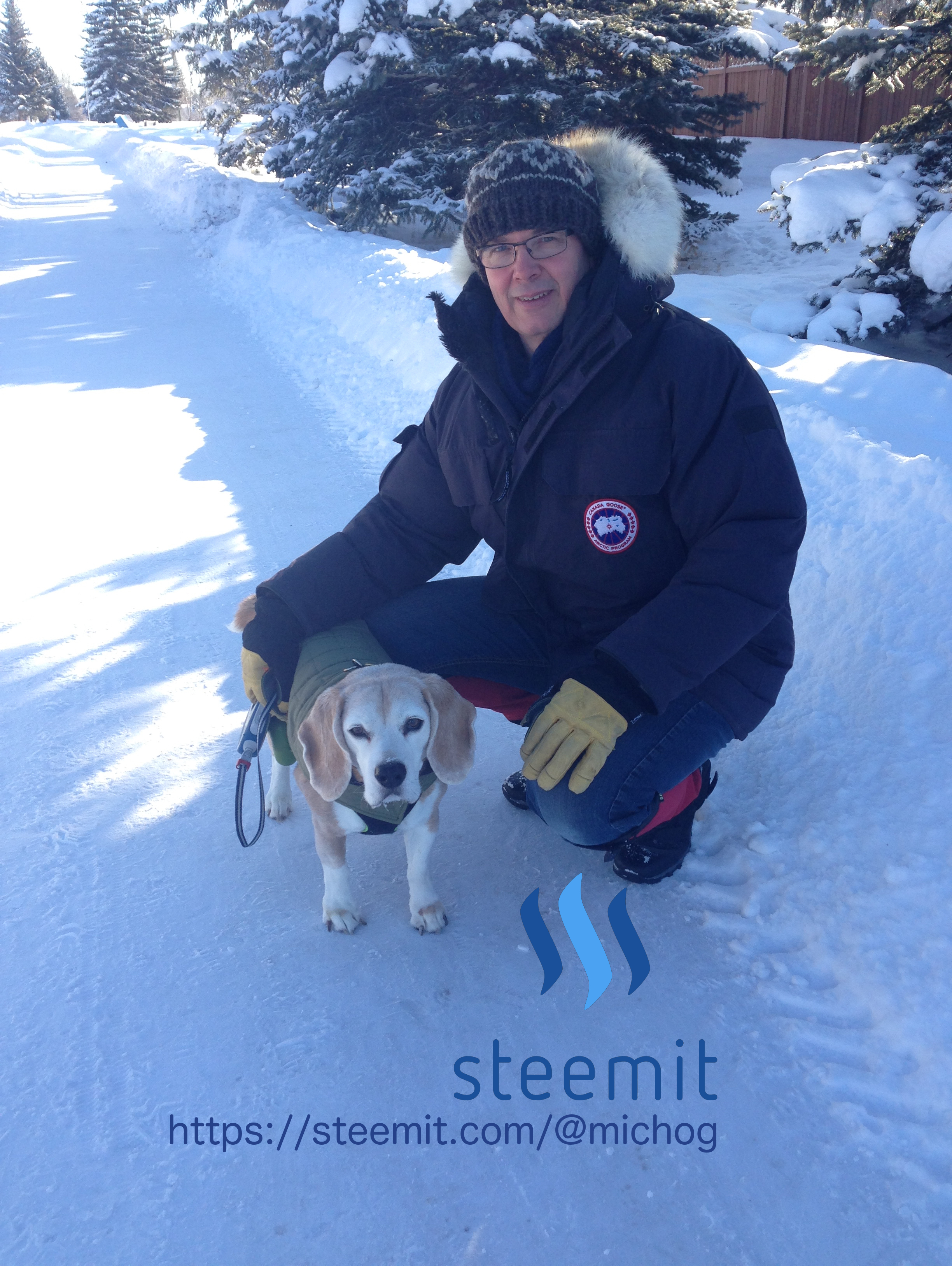 SteemitINT.png