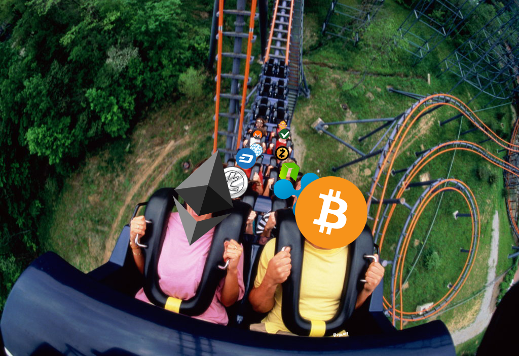 cryptorollercoaster.png