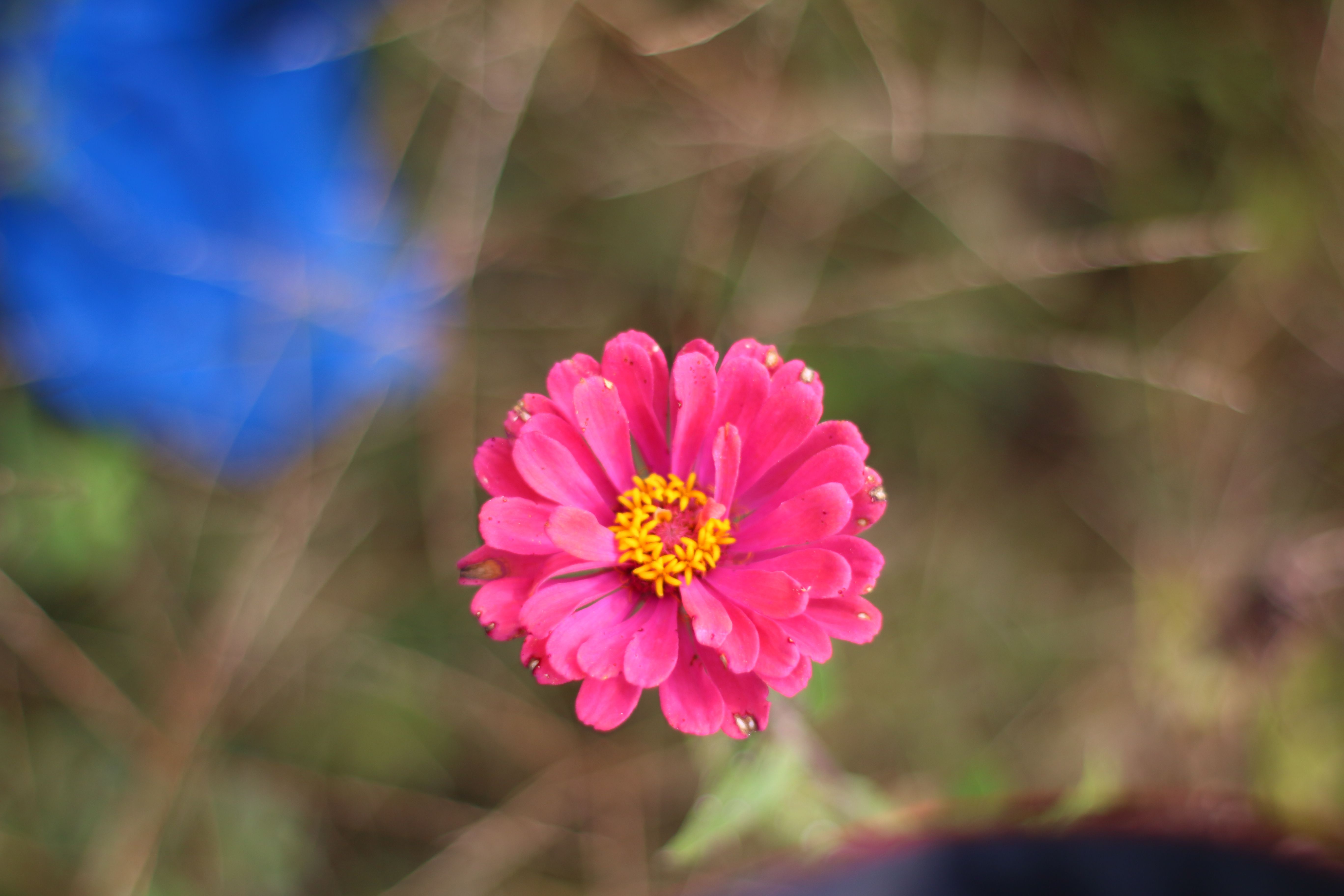 IMG_9643.JPG