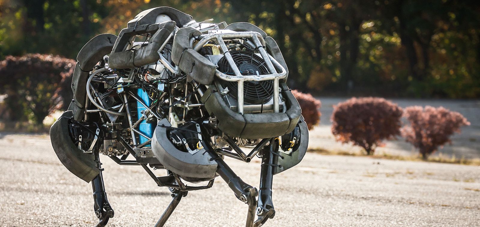 boston-dynamics-wildcat-1-google-robot.jpg