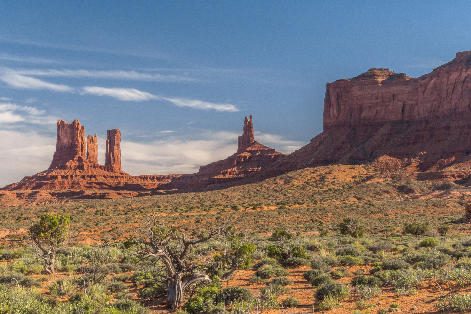 Monument valley. 16. Долина монументов, США. Долина монументов кактусы США. Долина монументов Аризона туман. Деревня Сапай, штат Аризона.