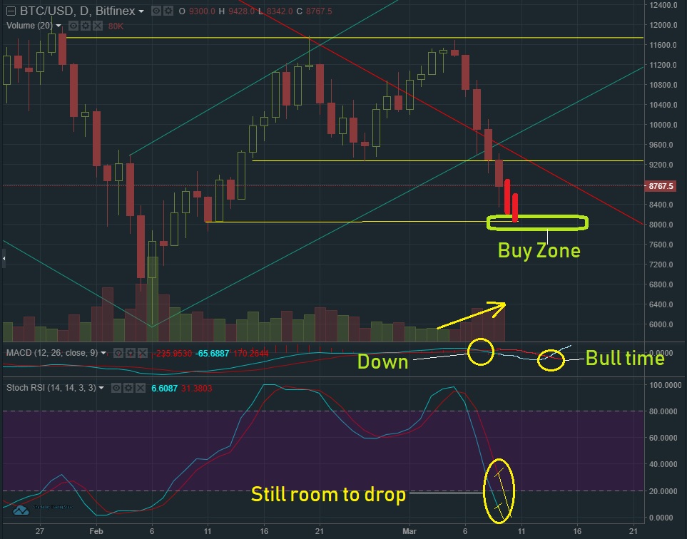 March 9 BTC T&A2.jpg