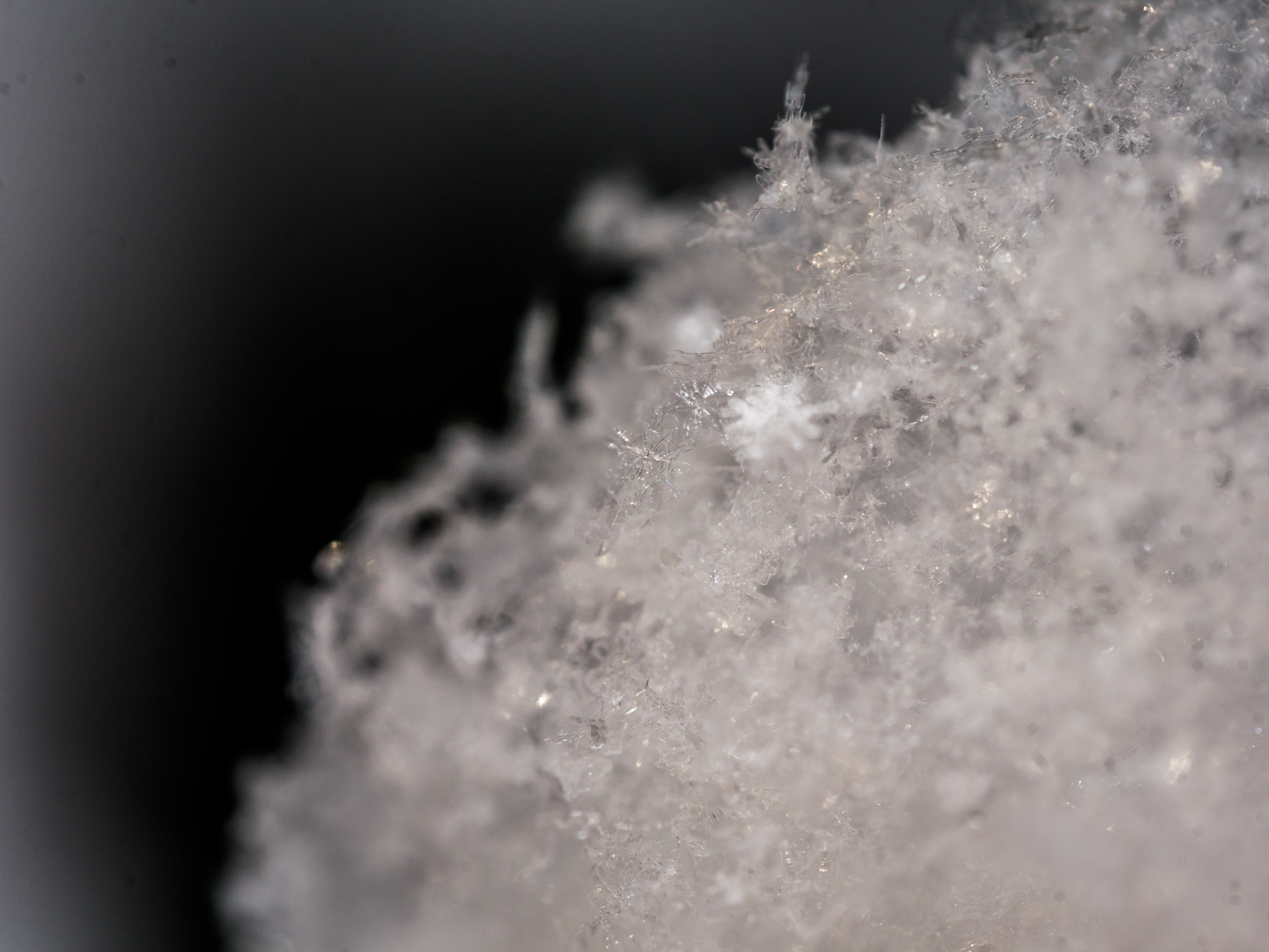 21. Februar 2018-1406.jpg