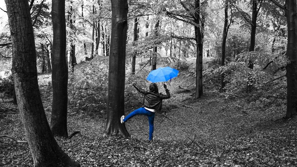 Raindance.jpg