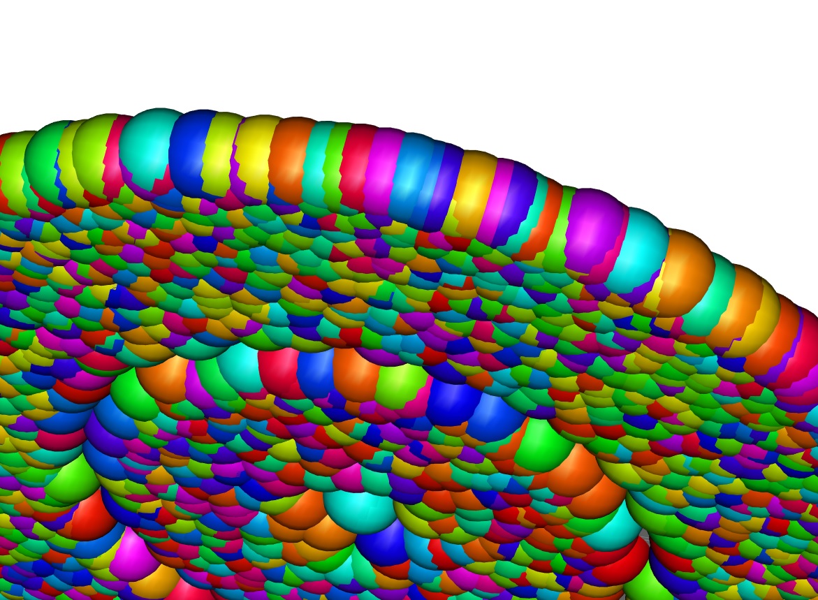 rainbow_followers_3Db.jpg