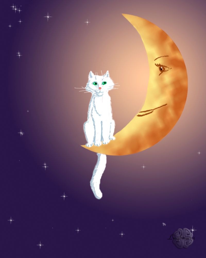 Кошка и луна.jpg