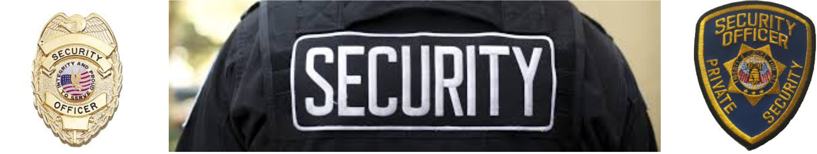 Security officer badge.png