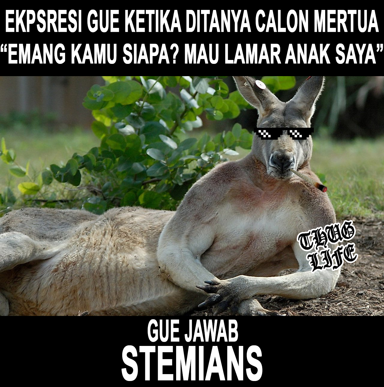 Ekspresi Guee Kontes Meme Dari Sevenfingers Steemit