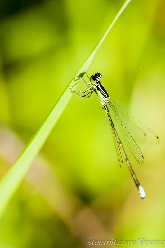 DSC_4099-2.jpg
