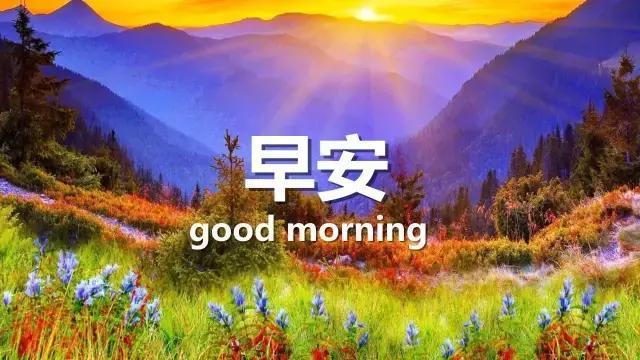 Good morning ！！！早安！！！ — Steemit