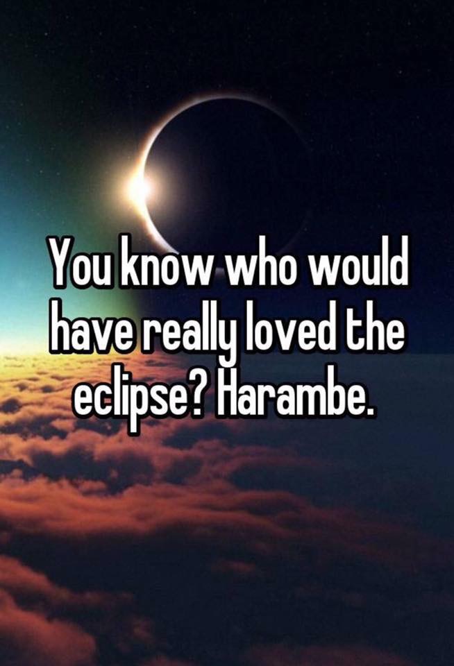 harambe.jpg