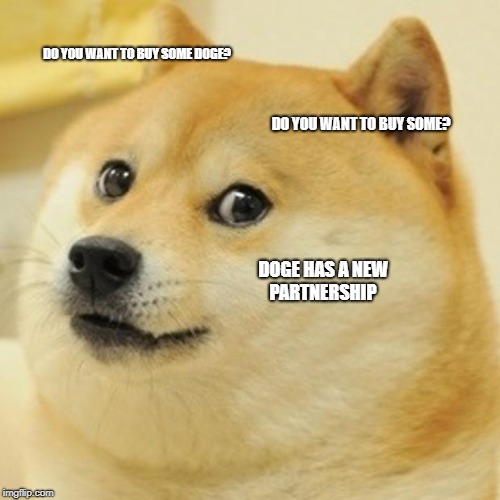 doge.jpg