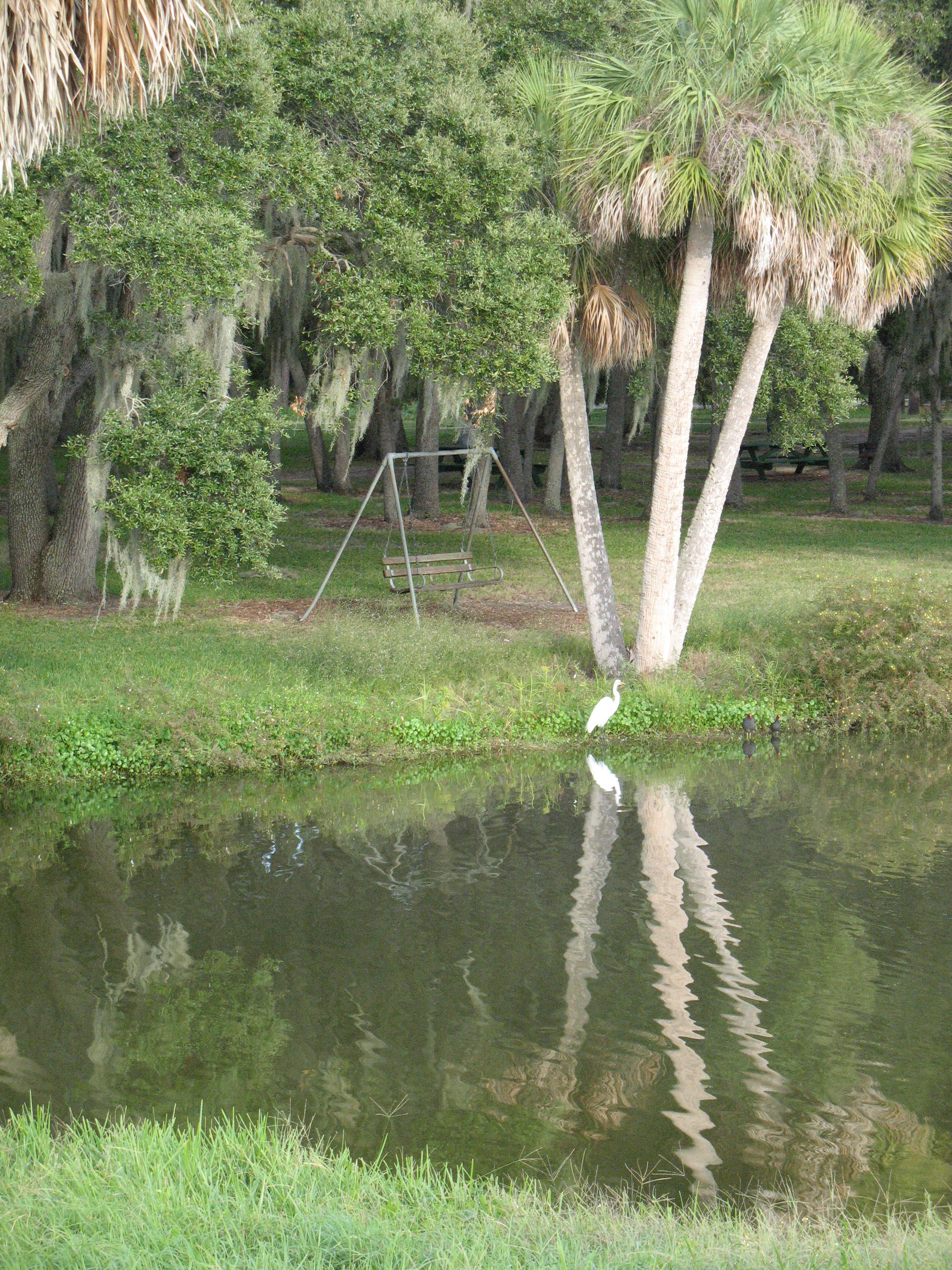 20091031 Lake Seminole Park and Happy Birthdayween Party 022.jpg