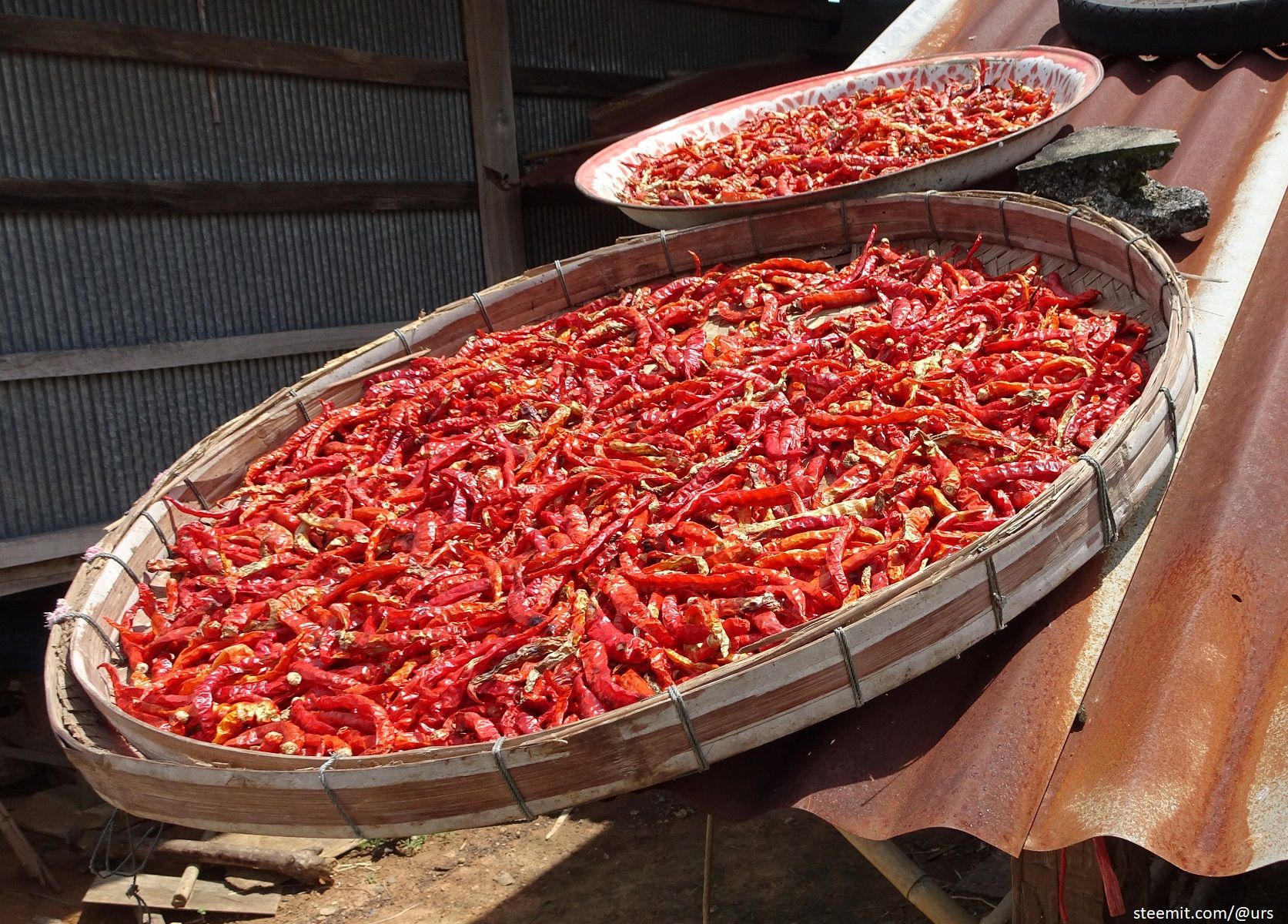 red hot chillies 1.jpg