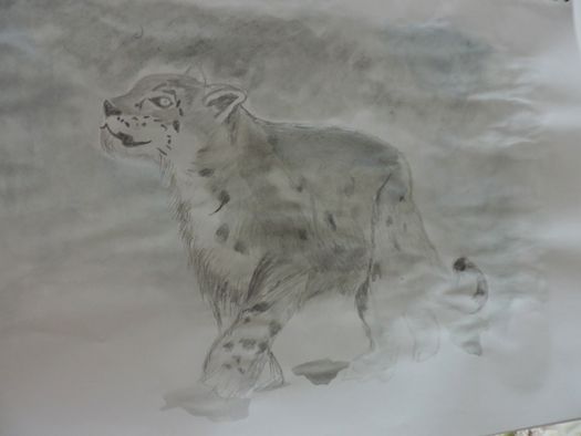 leopardo2.jpg