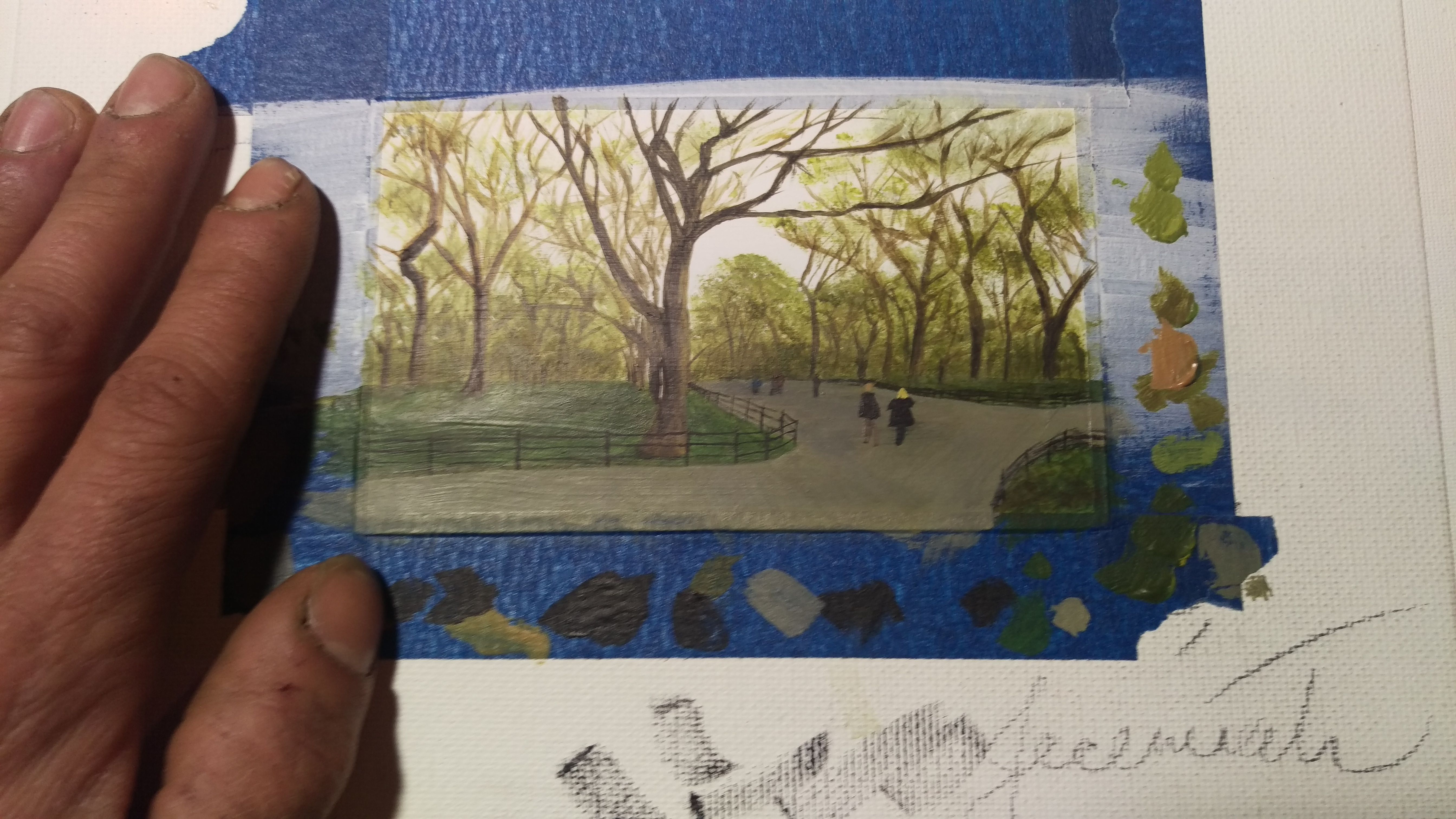 IMAG0659.jpg