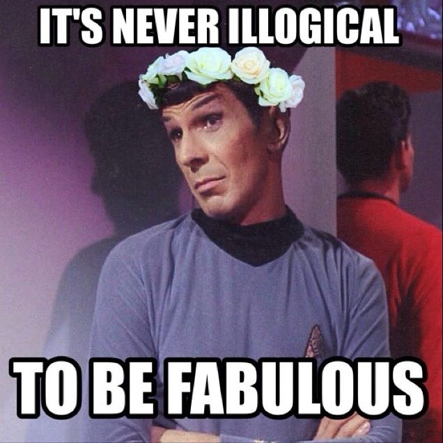 1691d80a3141bcf9cc2b2257d6b6c0a9--star-trek-meme-star-trek-tos.jpg