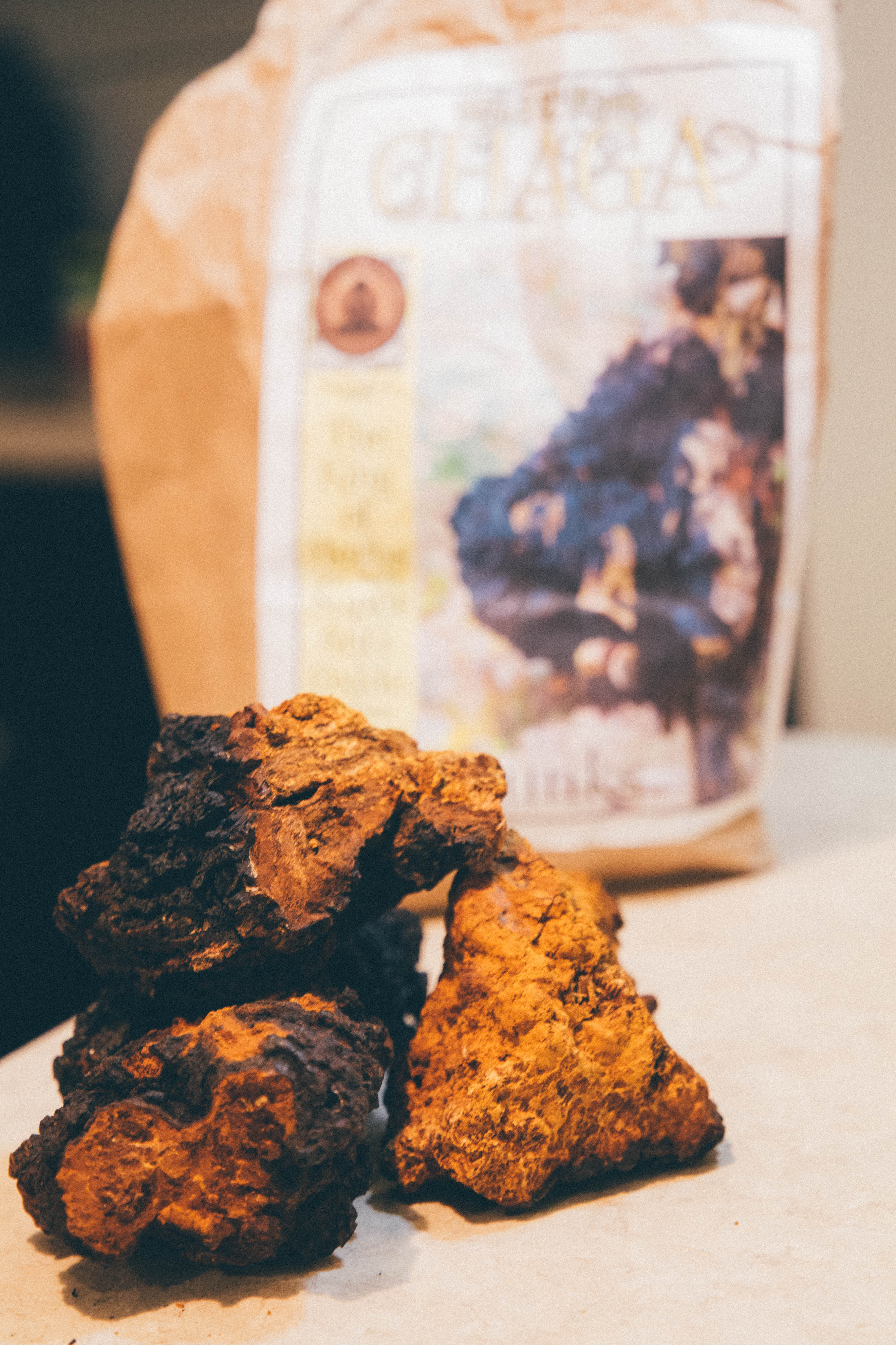 Chaga-3.jpg