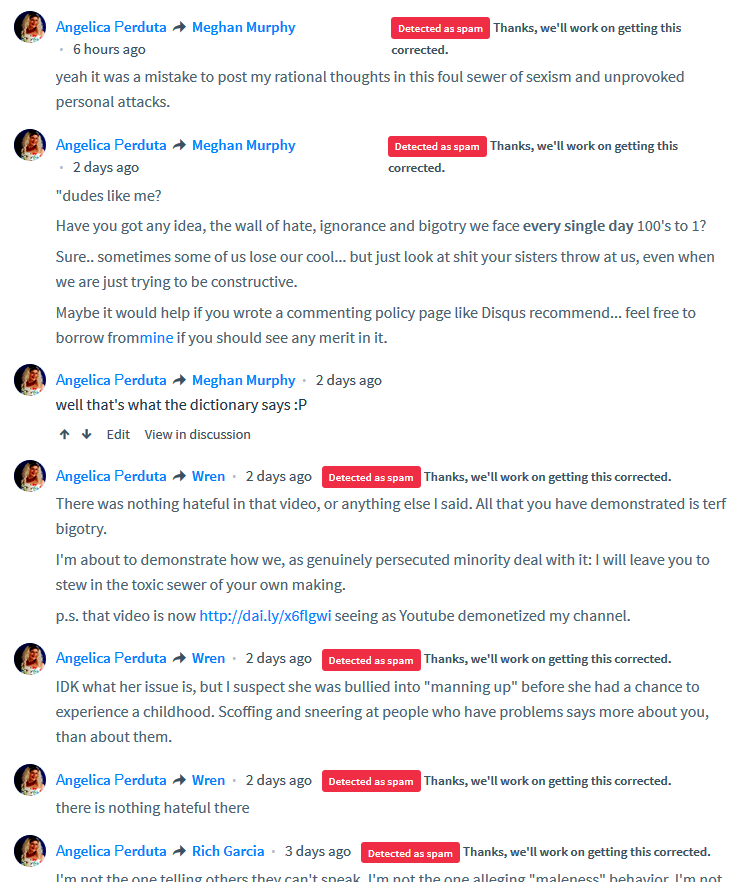 disqus-spam2.png