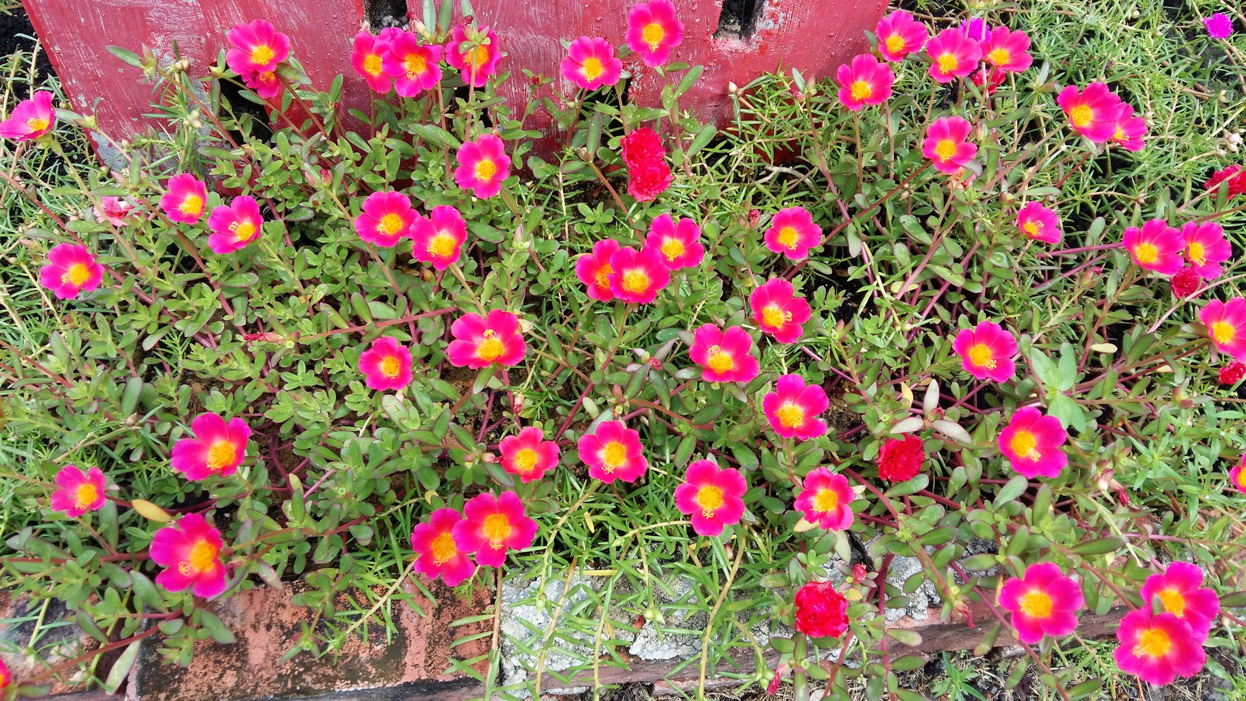 20150704_122412.jpg