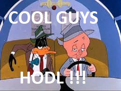 DAFFY HODL.jpg