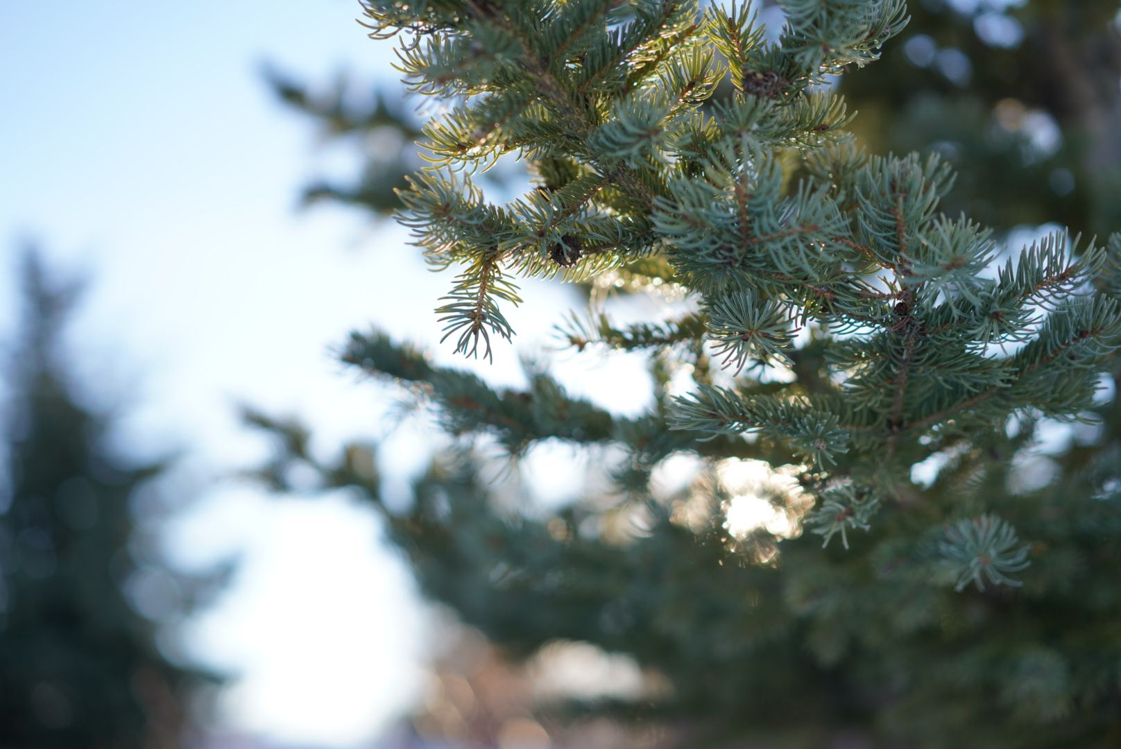 BF953E26-D8BB-44EF-8A63-23C6156734D1.jpeg
