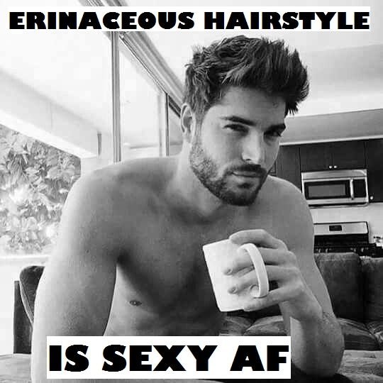 Word Of The Day Meme Contest Erinaceous By Z8teyb289qav9z Steem