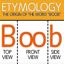 How Boob name was originated — Steemit
