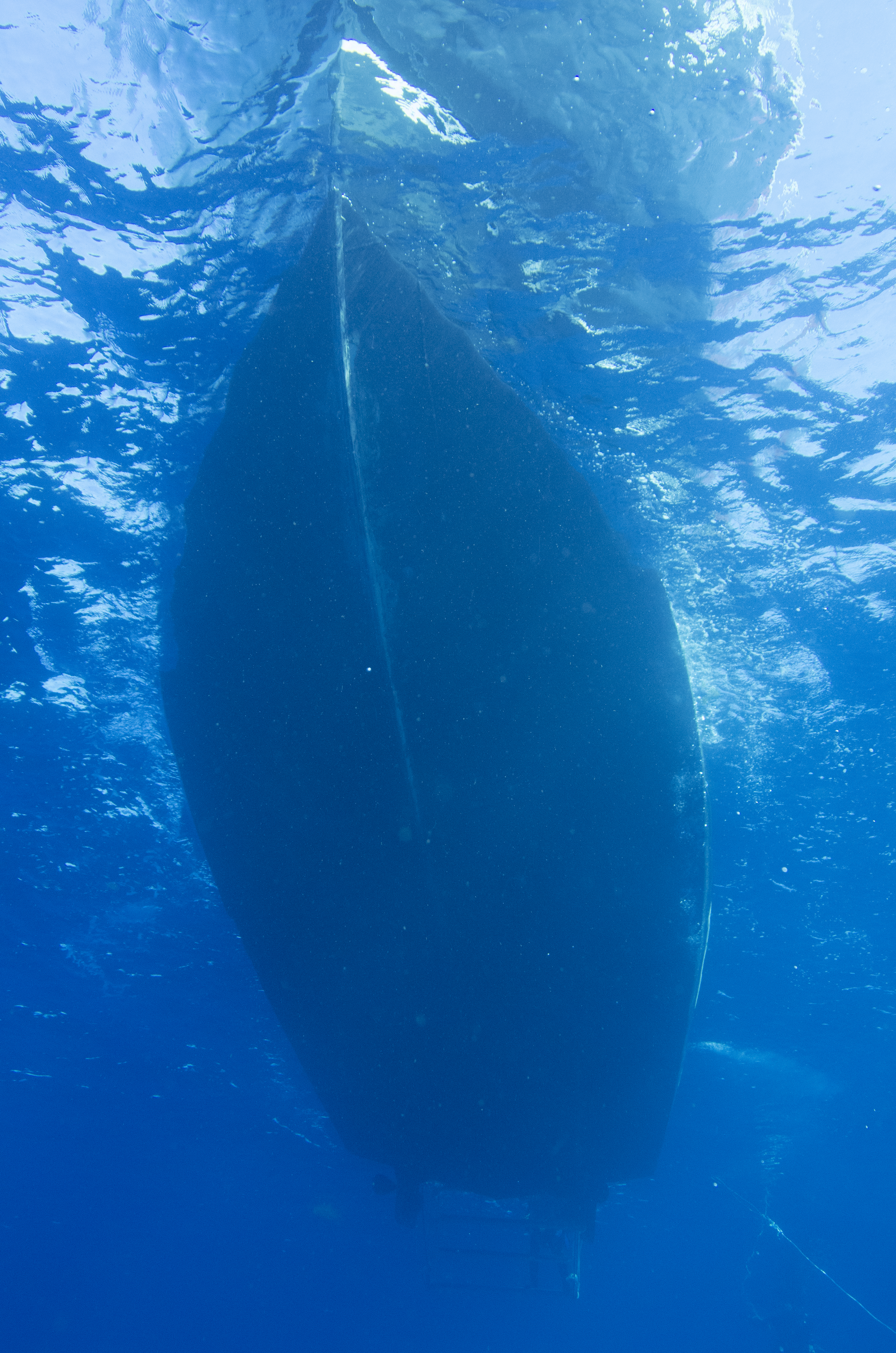 Texas_Clipper_07_2012_(45_of_82).jpg