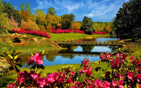 nature 2.jpg
