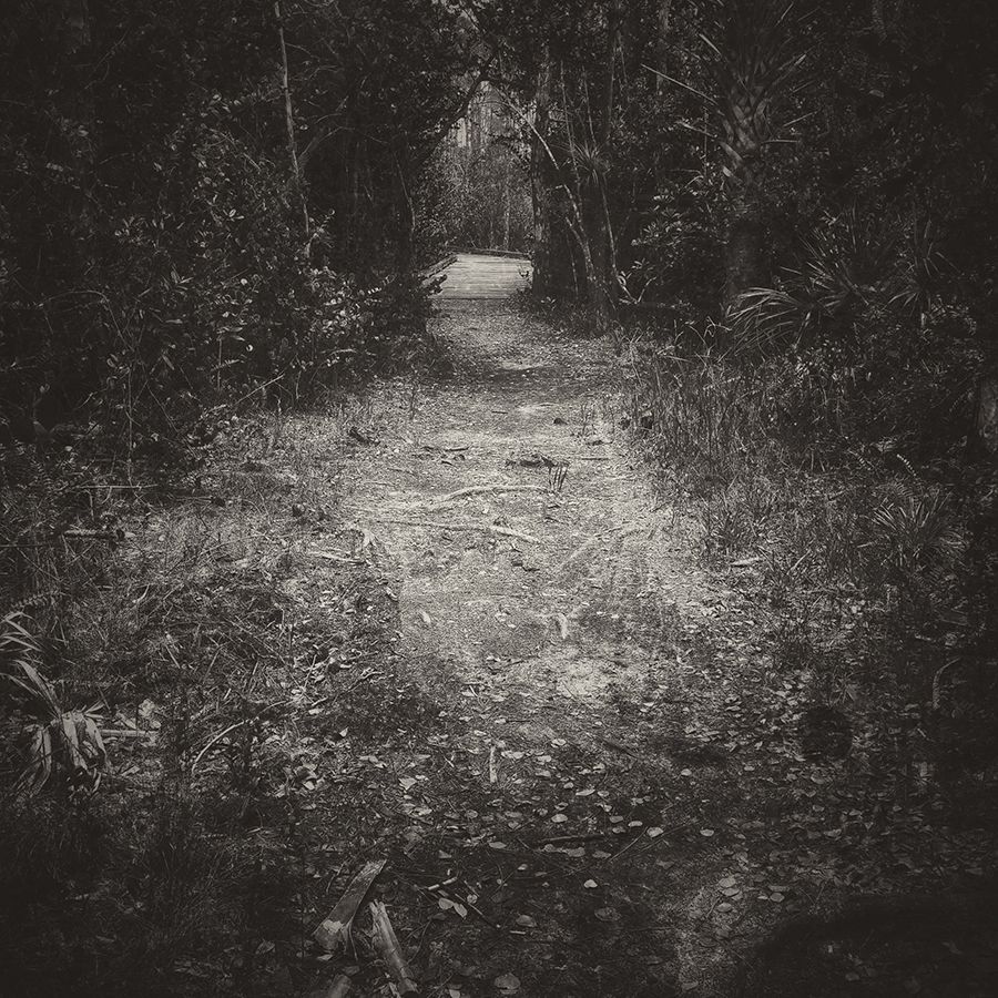 pathways by anakpolo.jpg