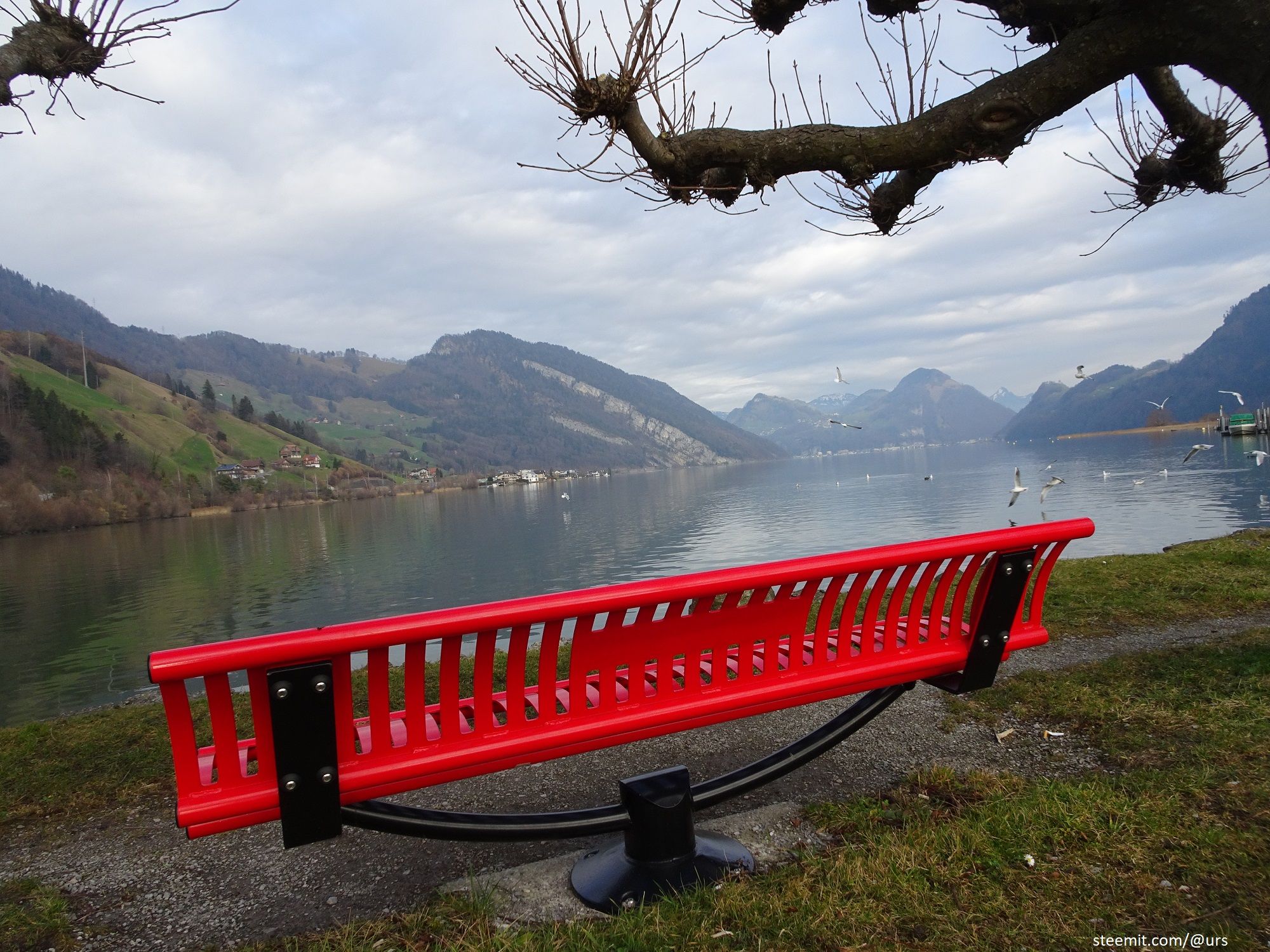 red bench.jpg