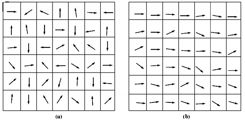 magnetic domain.png
