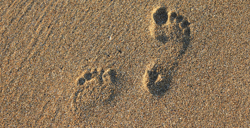 footprint-2353510_1920SCALED.jpg