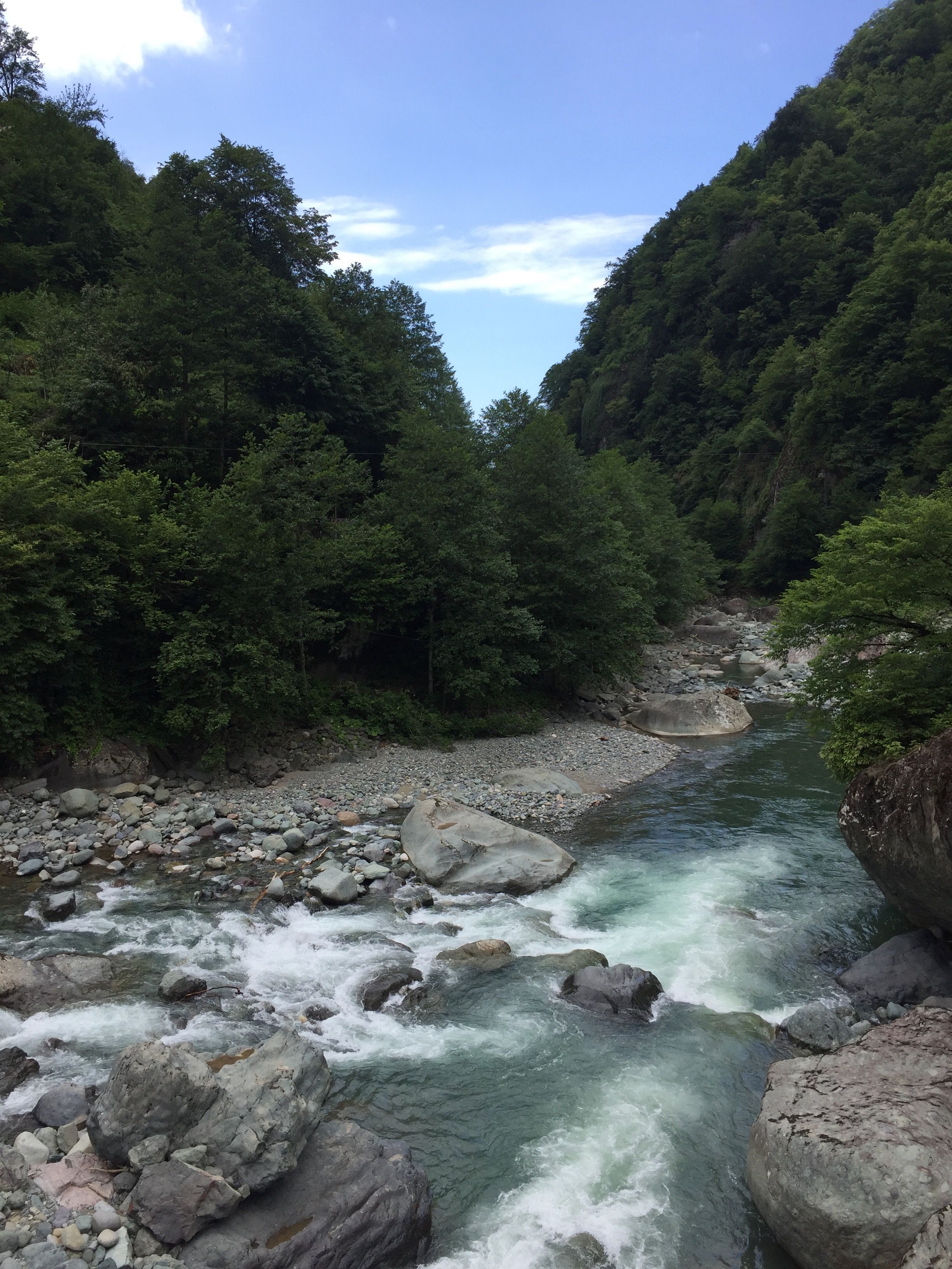 IMG_3358.jpg