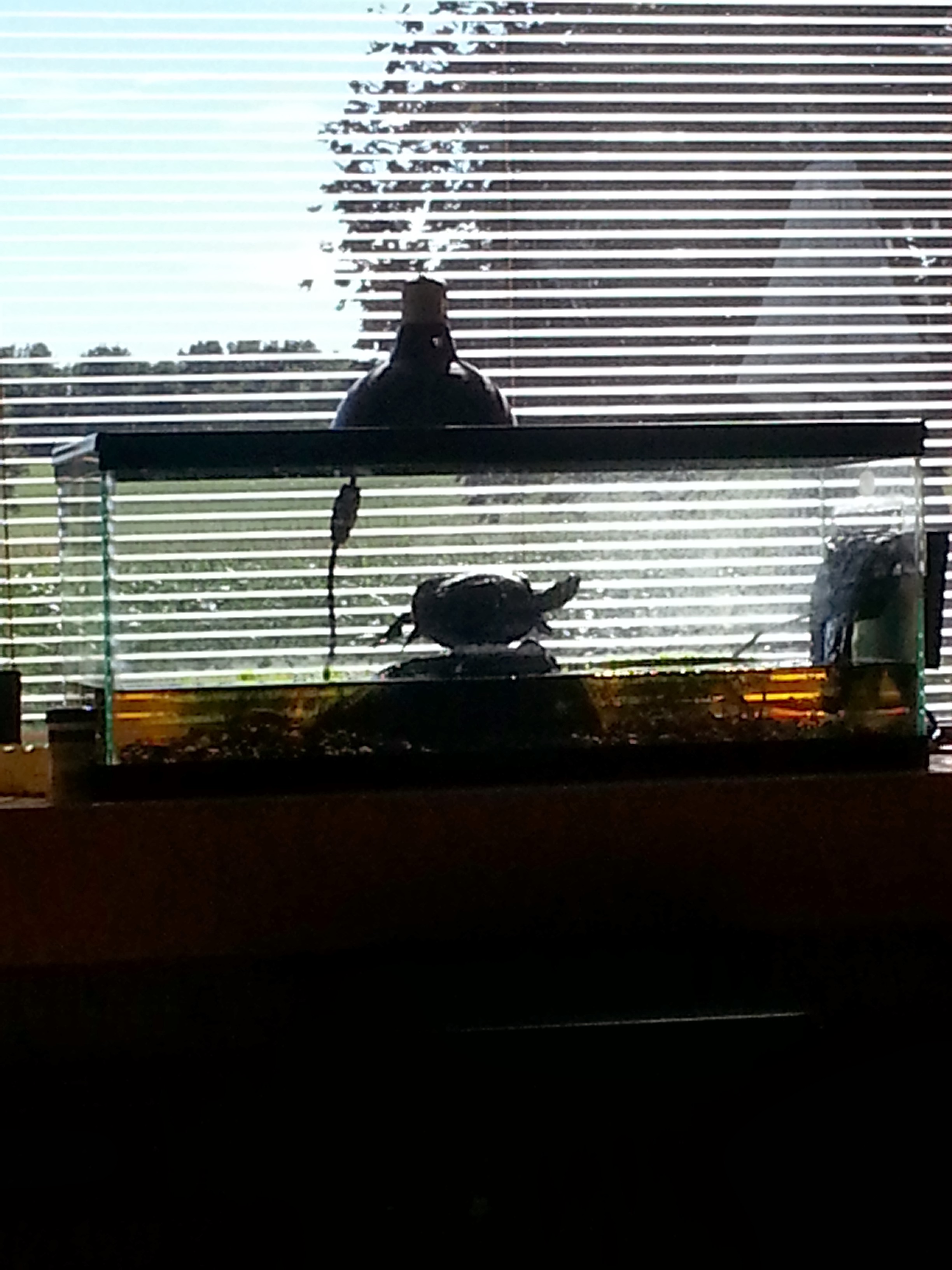 20130908_160236.jpg
