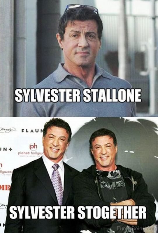 Sylvester-Stallone-Vs-Sylvester-Stogether-542x800.jpg