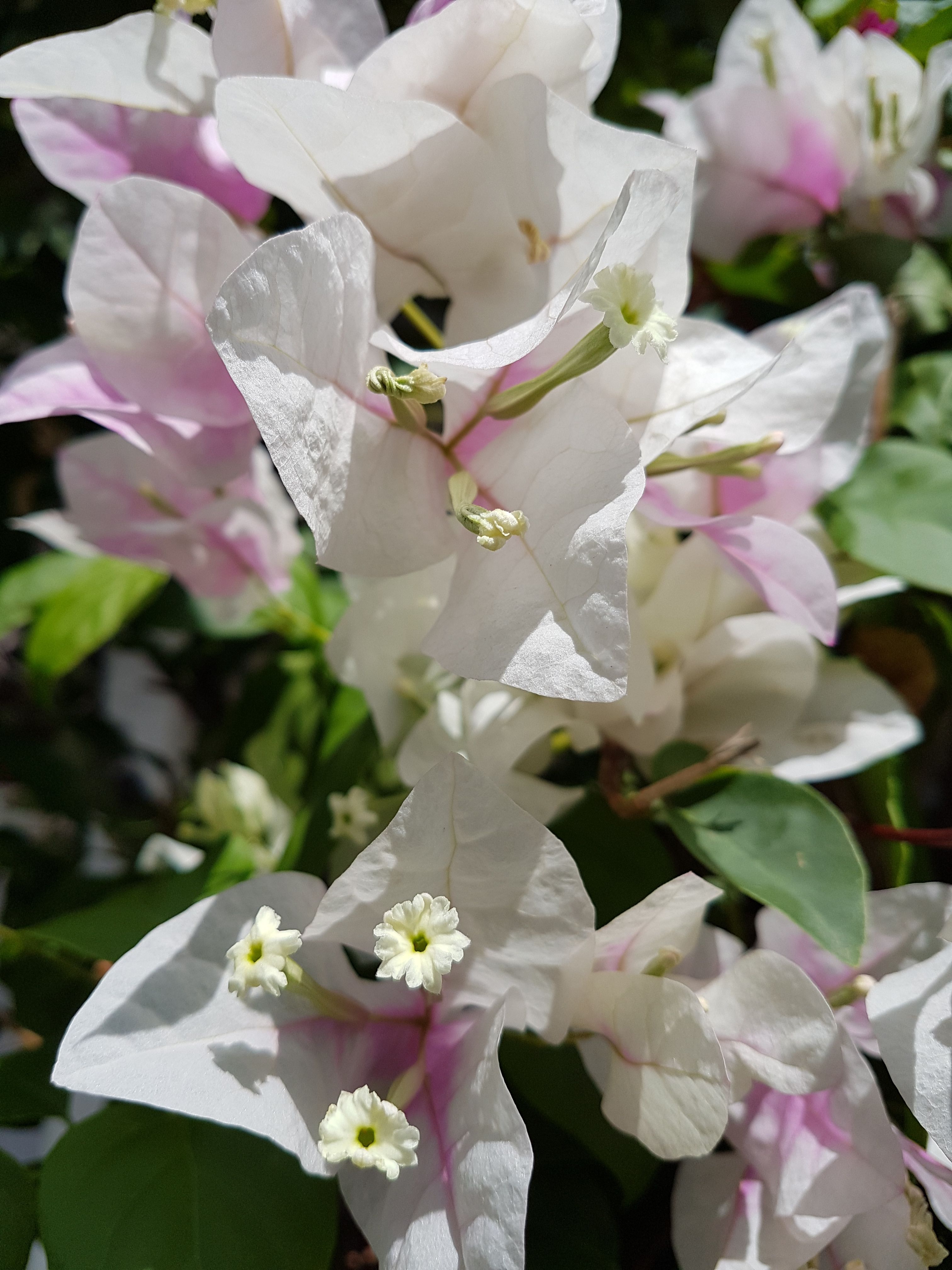 20170829_104008.jpg