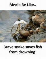 snek.jpg