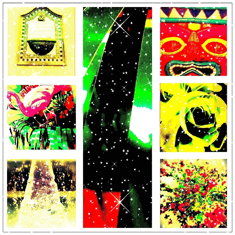 imageedit_11_4587791536.gif