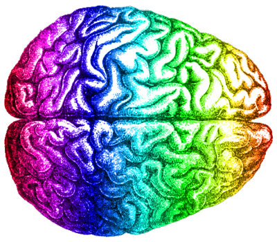 Rainbow_brain,_Aug_2014-.jpg