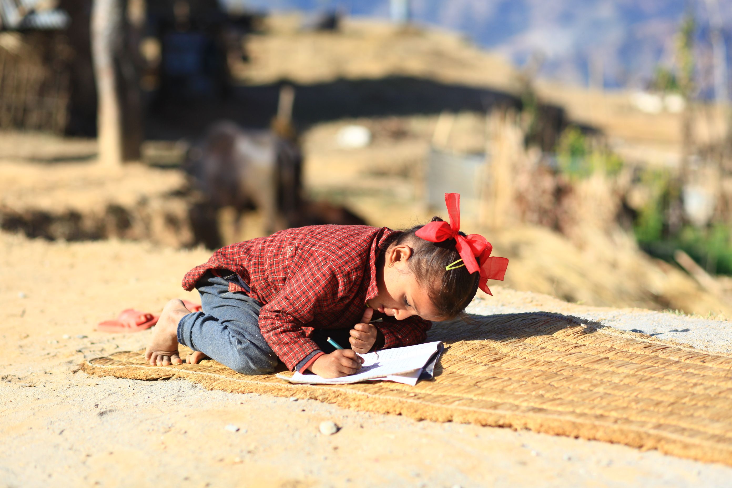 IMG_8334 a girl working on her homework by the road near pokharay bhanjyangsamir jung thapaGHTDP.JPG