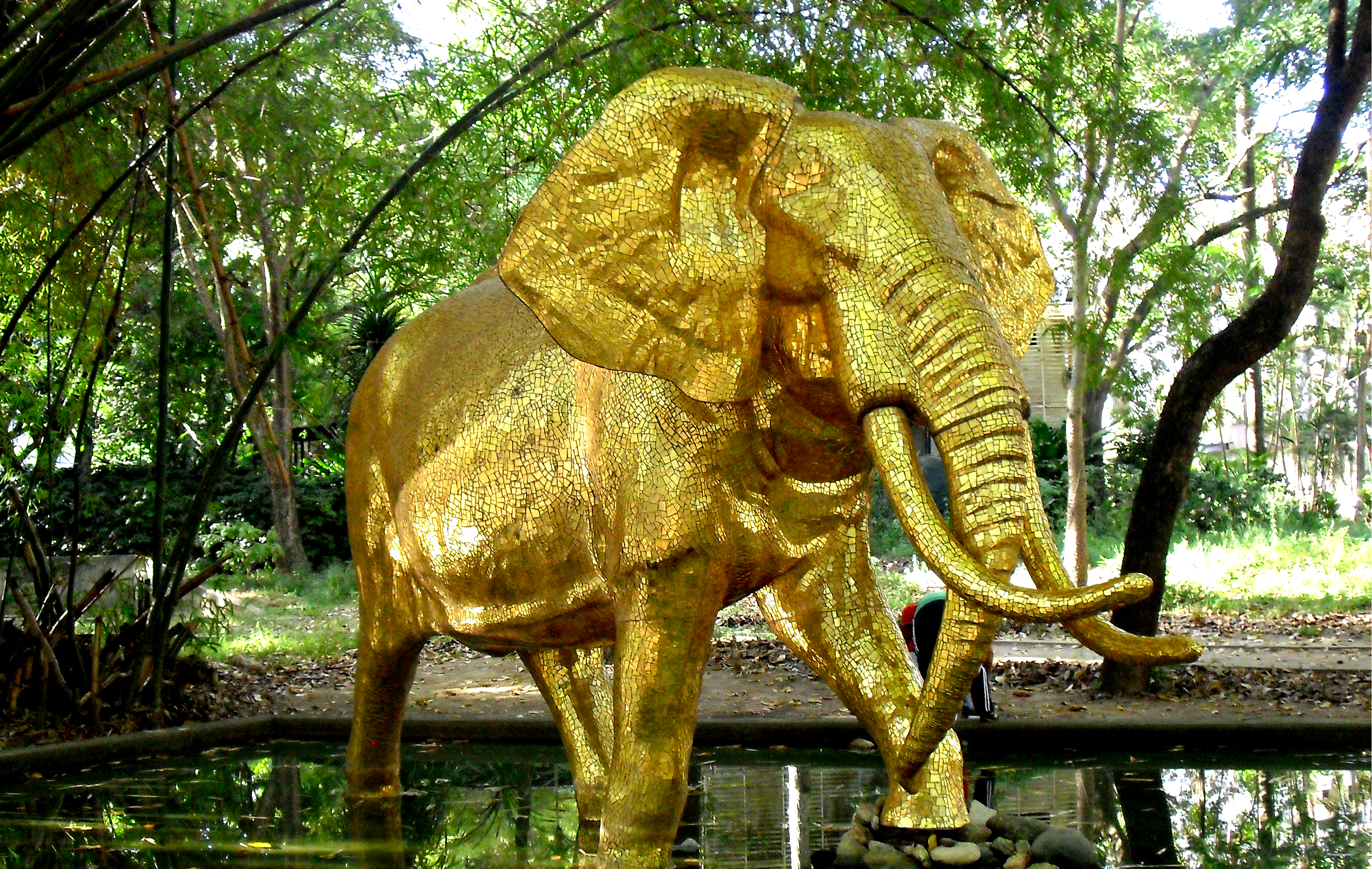 elefante de oro.png